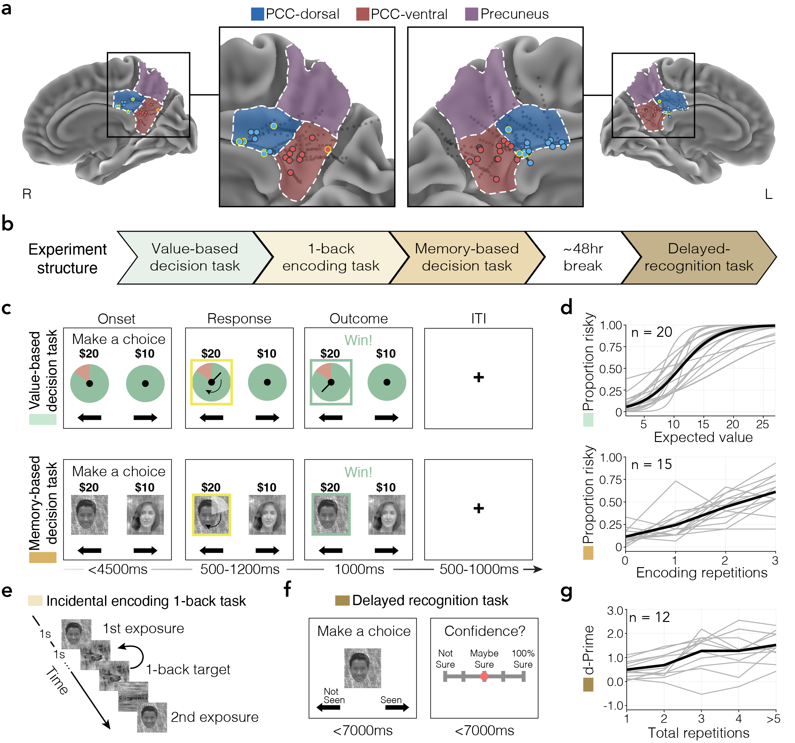 PCC anatomy, experiment design, and behavior